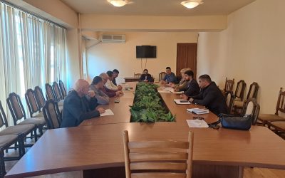 Աշխատանքային խմբի հանդիպումներ