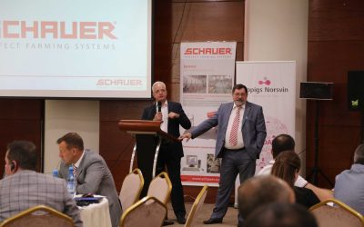 Խոզաբուծության զարգացման հեռանկարները Հայաստանում