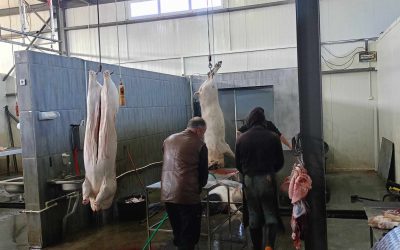 ԿՀՀ փորձի փոխանակման այց Վրաստանում