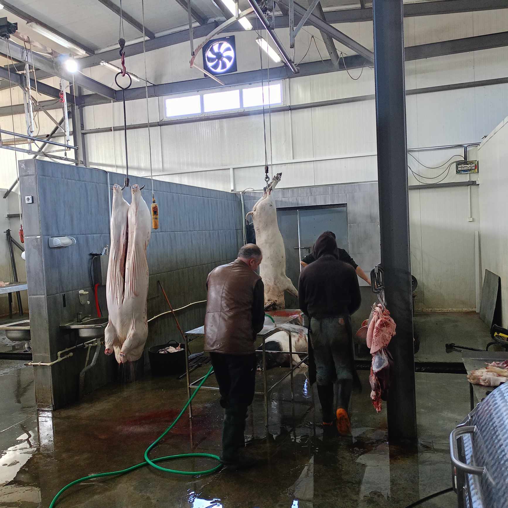 413250134_1361827657787745_3876330162469797242_n