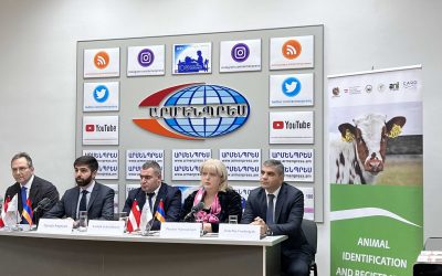 Մամուլի ասուլիս «Խոշոր եղջերավոր կենդանիների համարակալում և հաշվառում» ծրագրի վերաբերյալ